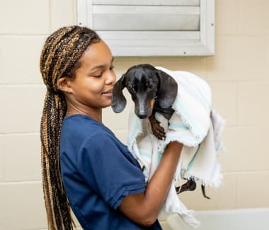 Bathing & Nail Trims | Friendly Animal Clinic | Greensboro Vet