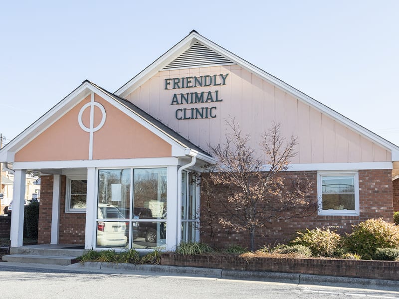 Friendly Animal Clinic, Greensboro Vet